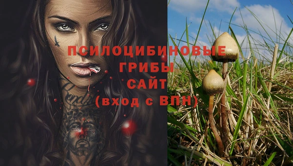 экстази Аркадак