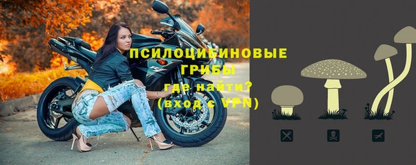 стафф Армянск