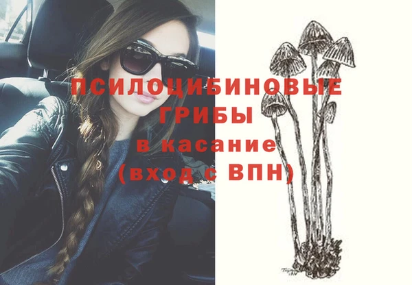 метадон Арсеньев