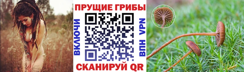 Галлюциногенные грибы ЛСД  Тавда 