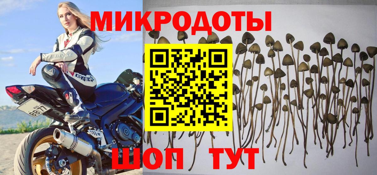 Тавда  как найти наркотики  Вход с VPN  Галлюциногенные грибы мухоморы  Галлюциногенные грибы ЛСД 